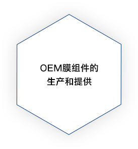 OEM膜组件的生产和提供